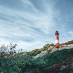 Dan James Has Been Working on His Masterpiece for Years sylt-4468569_1920